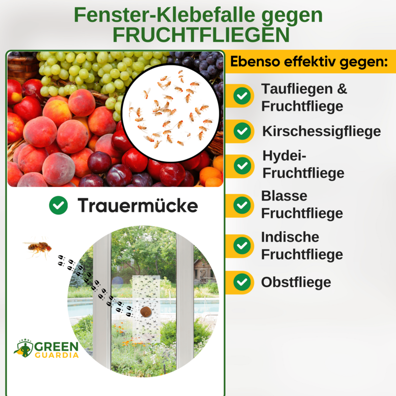 Frugtflue vinduesfælde