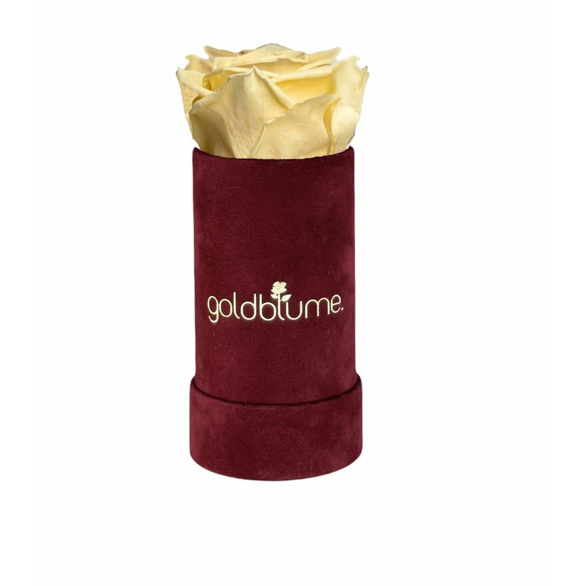 Collection Velours Bordeaux