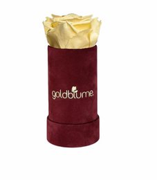 Velvet Bordeaux Collection