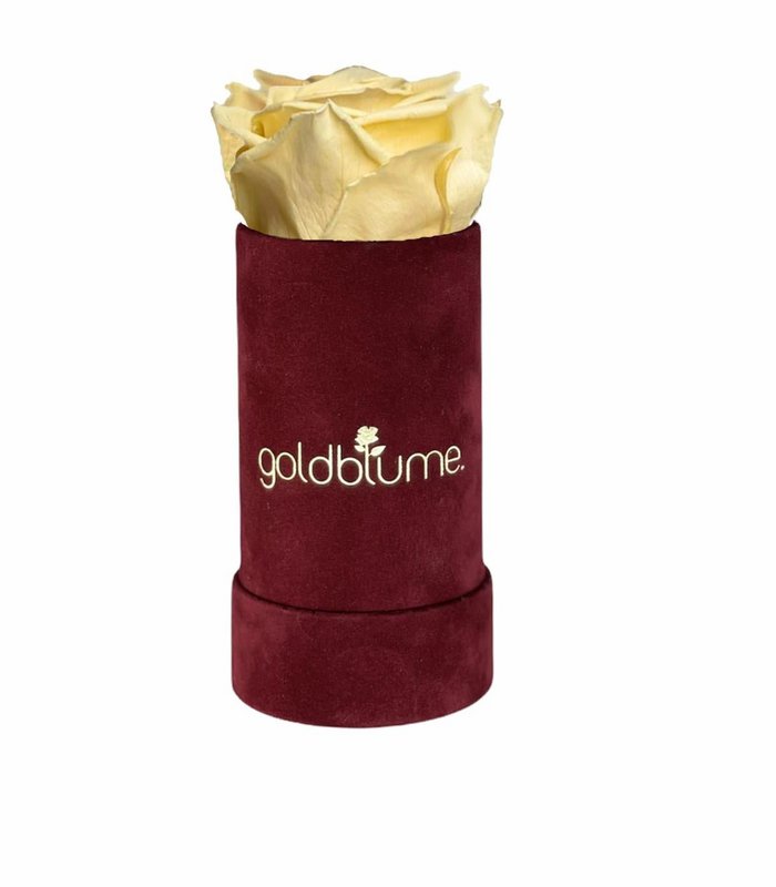 Velvet Bordeaux Collection