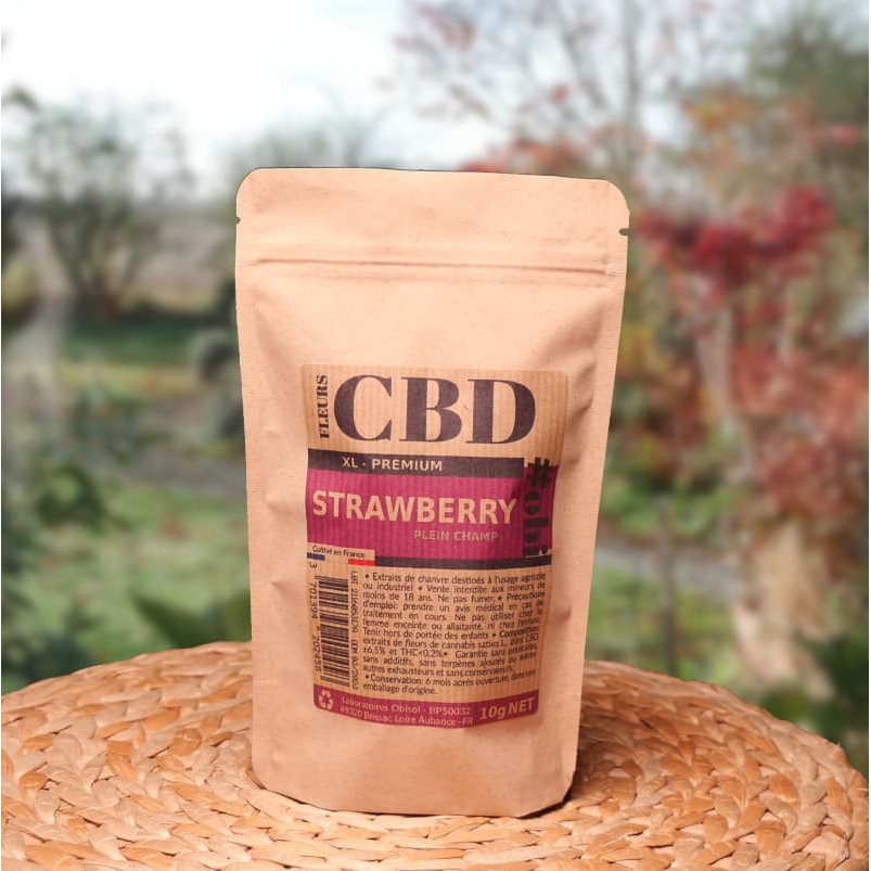 Kwiaty truskawki XL CBD