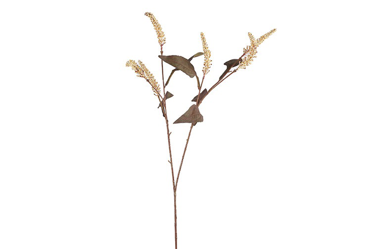 Kunsttak Amarant beige- L4B14H75CM