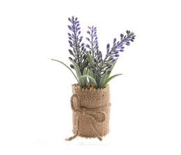 Decoris
