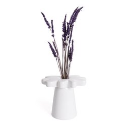 Wazon białej stokrotki HF