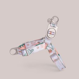 Matteo No-Pull Dog Harness