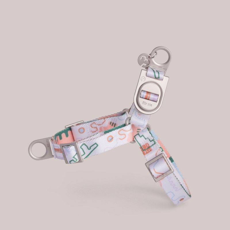 Matteo No-Pull Dog Harness