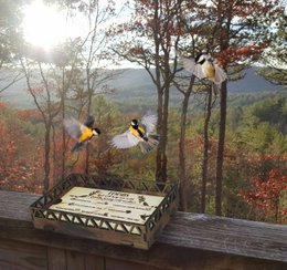 Am Geländer montiertes Vogelhäuschen aus Holz, Zedernholz-Plattform, Vogelhäuschen, Geländer im Freien, Terrasse, Gartendekoration für den Hof