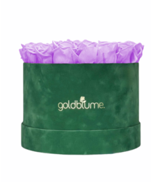 Velvet Green Collection