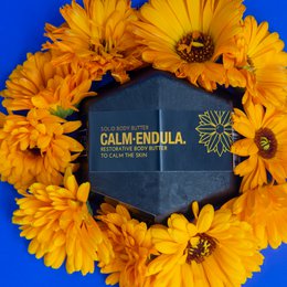 CALMENDULA Solid Body Butter
