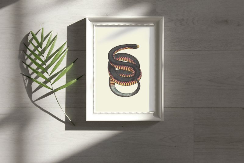 Snake