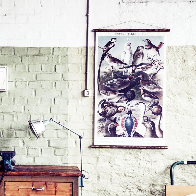 Tableau mural oiseaux