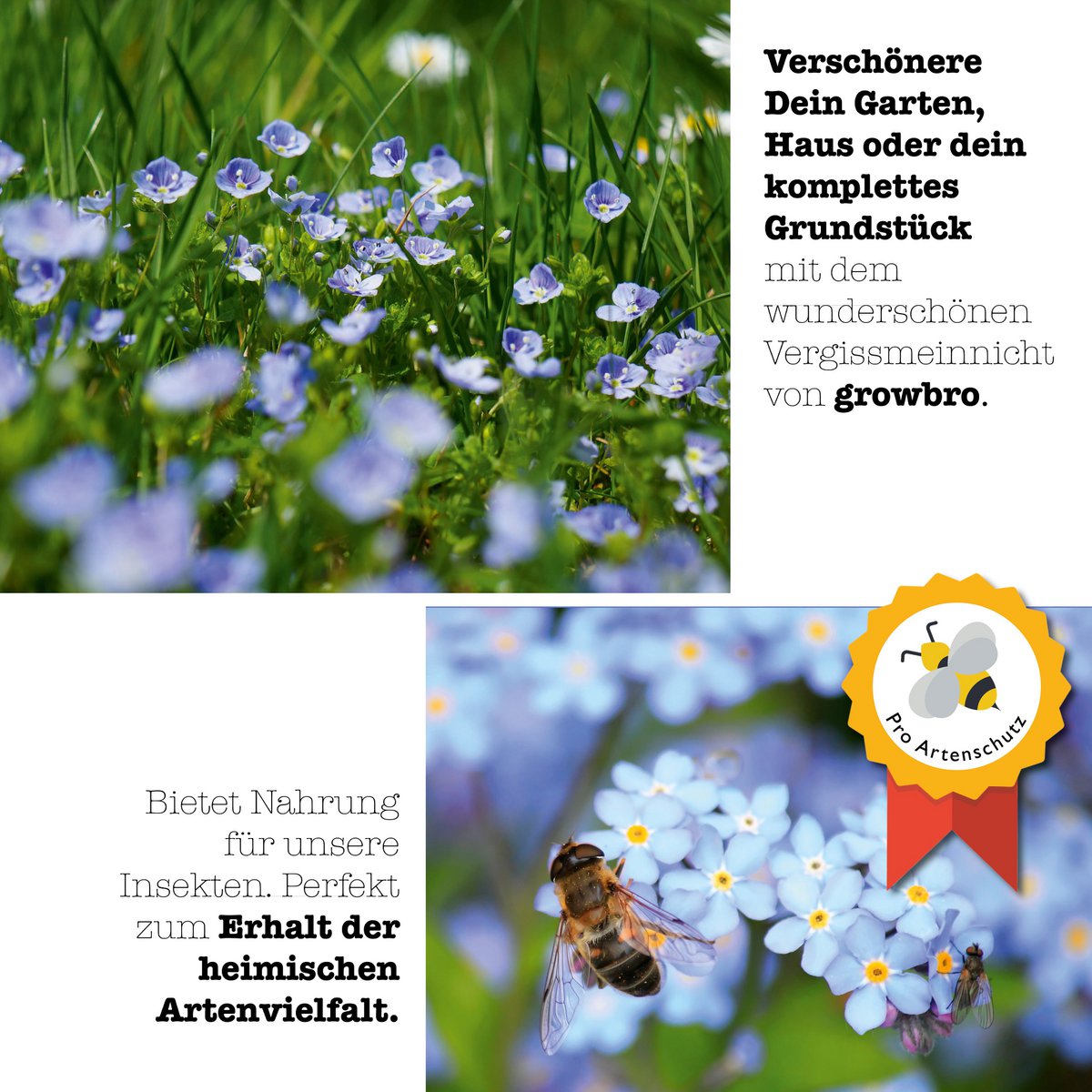 growbro forget-me-not growing set, grow your OWN LOVE SYMBOL, gifts for best friends, gift ideas for women, and much more.
