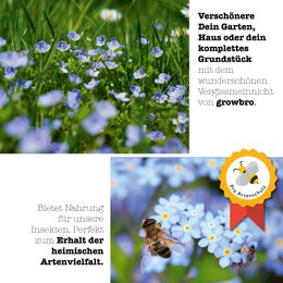 growbro forget-me-not growing set, grow your OWN LOVE SYMBOL, gifts for best friends, gift ideas for women, and much more.