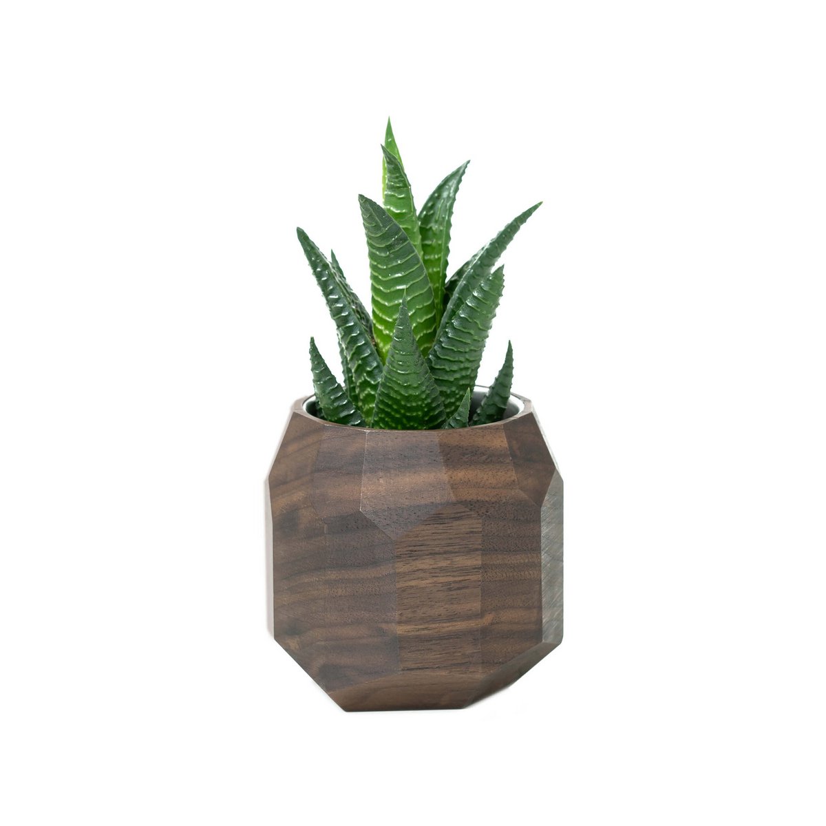 Geometrisk plantekasse