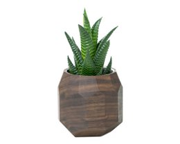 Geometrisk plantekasse