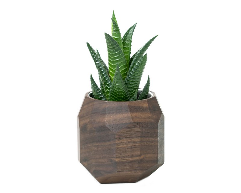 Geometrisk plantekasse