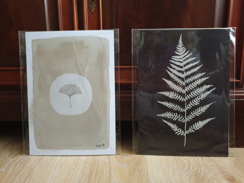 Scandi Fern Poster "White Fern" A4 - Stampe d'arte sostenibili su carta riciclata in cellophan