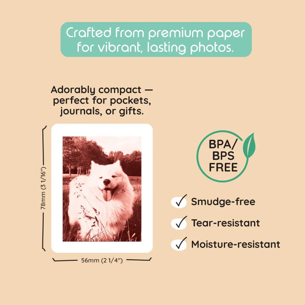 Model P2 Print Pack | 120 Udskrifter