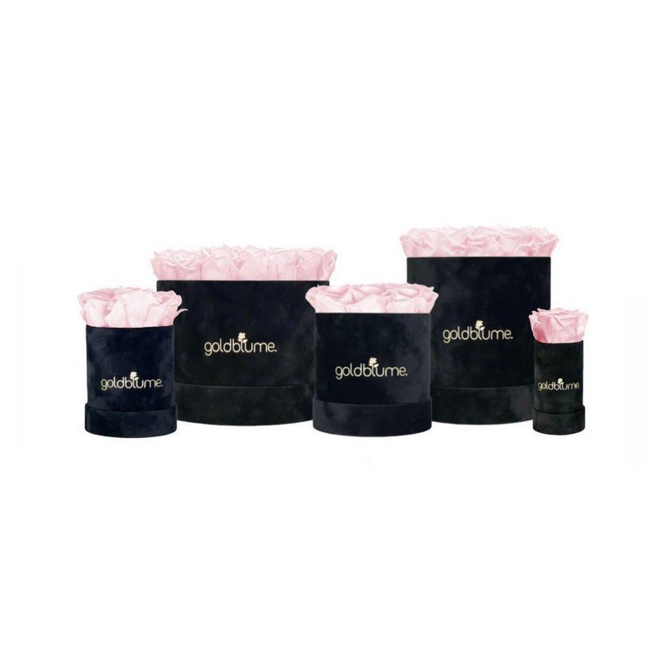 Velvet Black-collectie