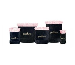 Velvet black collection of dried flower bouquets in various colors and sizes, including champagne, pure white, bridal pink, green glow, hot pink, lavender, minty green, ocean blue, orange flame, perfect peach, and velvet plum.