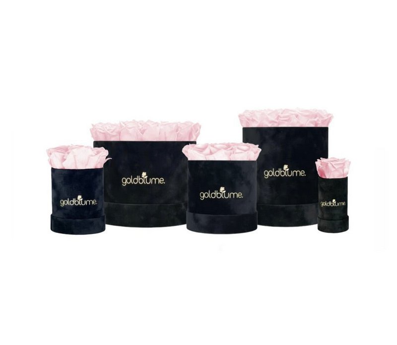 Velvet Black Collection
