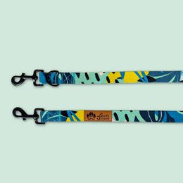 Multi-position reef leash
