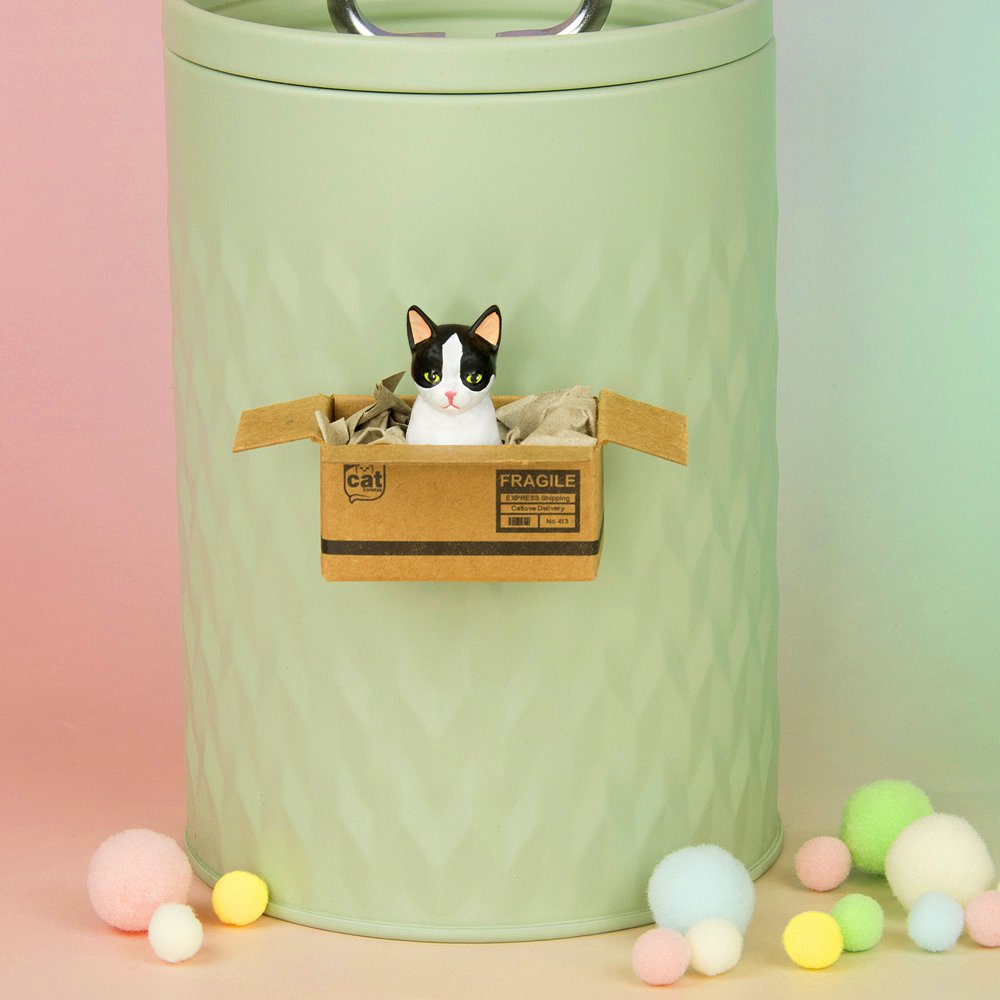 Imán de gato hecho a mano "Blanco y negro" - Mini caja con imán de neodimio