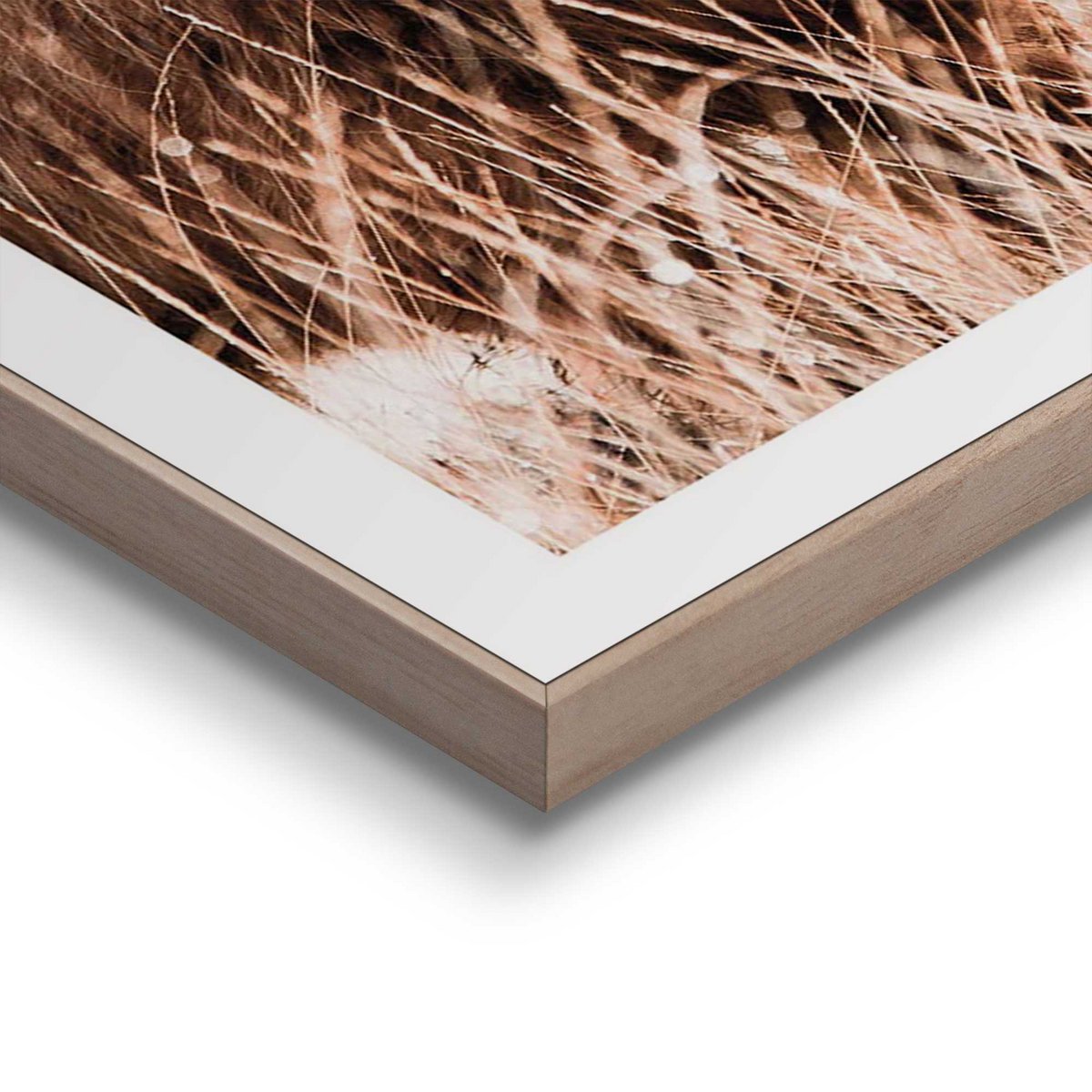 Painting Slim Frame Highlander 50x50