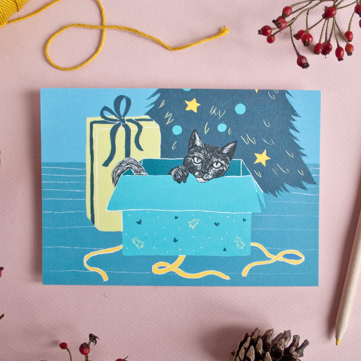 Christmas card cat in a box