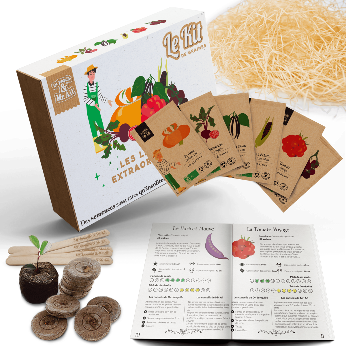 Buitengewone Groenten - Thematische tuinbouwset - Creatieve kit - DIY - Kerstcadeau