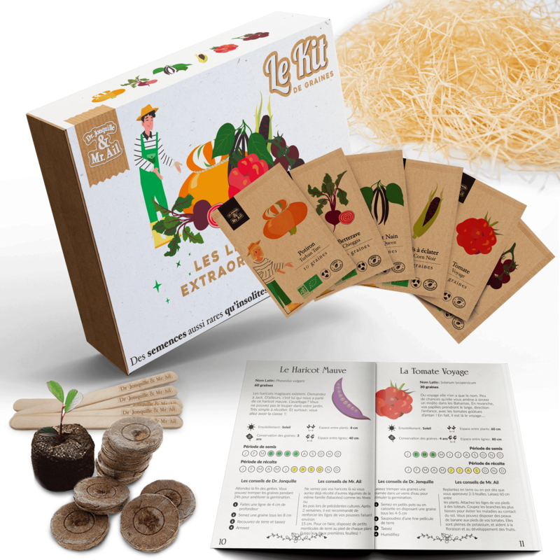 Extraordinary Vegetables - Thematic gardening kit - Creative kit - DIY - Christmas gift