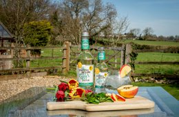 Twelve Below Apple and Garden Mint Tonic 