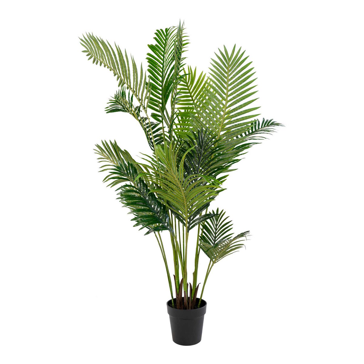 Areca Palm - Green, PE Plastic/Polyester, 64x64x175 cm
