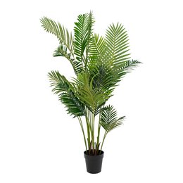 Tall, lush green areca palm plant with long, feathery fronds in a black pot, suitable for indoor or outdoor decorative use.