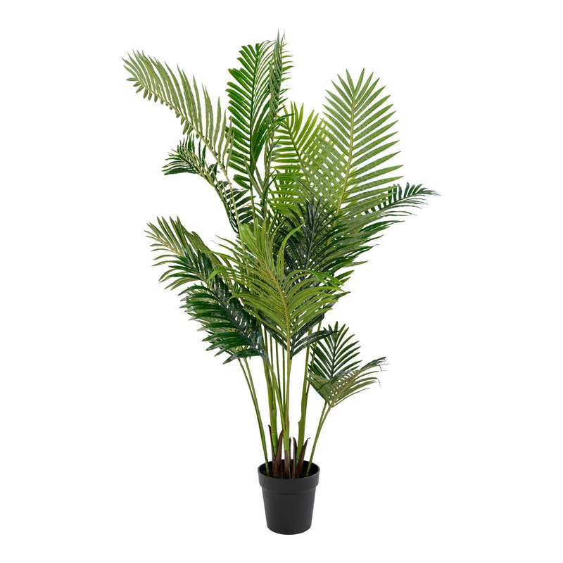 Areca Palm - Green, PE Plastic/Polyester, 64x64x175 cm