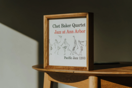 Oak Vinyl Album -Rahmen für Display, vielseitiges Musikdekor und Geschenk für Vinyl -Fans