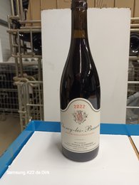 Burgundy red wine bottle, dark glass, elegant label, Fixin Champs des Charmes vintage 2023.
