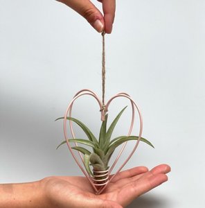 Metal heart pink + airplant