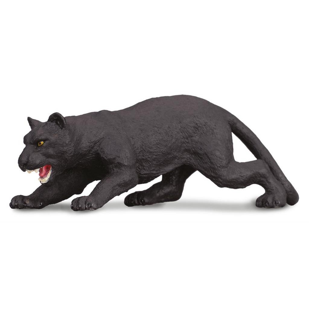 Zwarte Panter - (M)