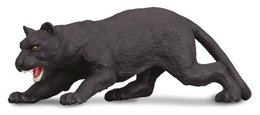Zwarte Panter - (M)