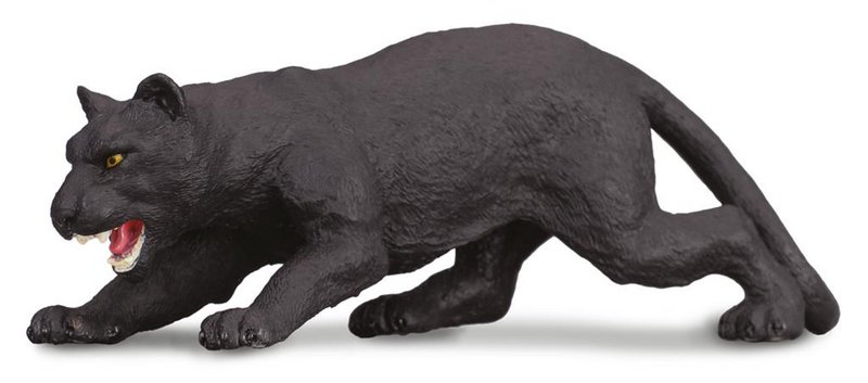 Zwarte Panter - (M)
