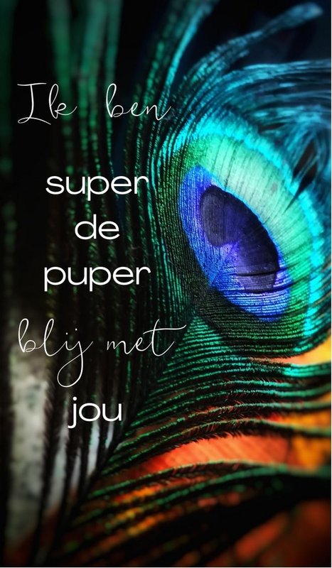 Mini-Ticket 'Super de Puper'