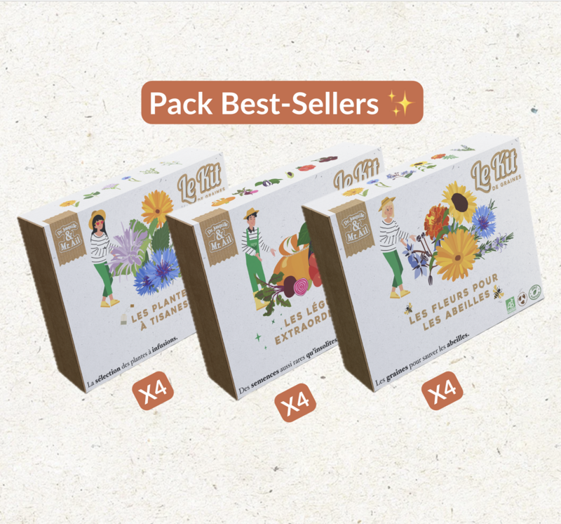Gartenkits - Weihnachtsgeschenkschachtel Weihnachten - Kräutertee - Außergewöhnliches Gemüse - Blumen Bienen - DIY