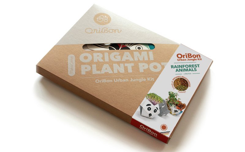 Urban Jungle Kit - Collectie regenwouddieren