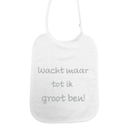 'Slab Wacht maar tot ik groot ben' is a bib product with various color variants including silver, light gold, rose gold, gold, and copper. The product description should focus on the key details that would be useful for a semantic search, such as the colors, materials, and any relevant text or shapes on the product.
Description: This bib product features the text "Wacht maar tot ik groot ben" (Wait until I'm big) printed on a white background. The bib is available in a variety of metallic color variants including silver, light gold, rose gold, gold, and copper. The product would be suitable for infants and young children.