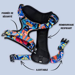Lagoon Comfort Y-sele
