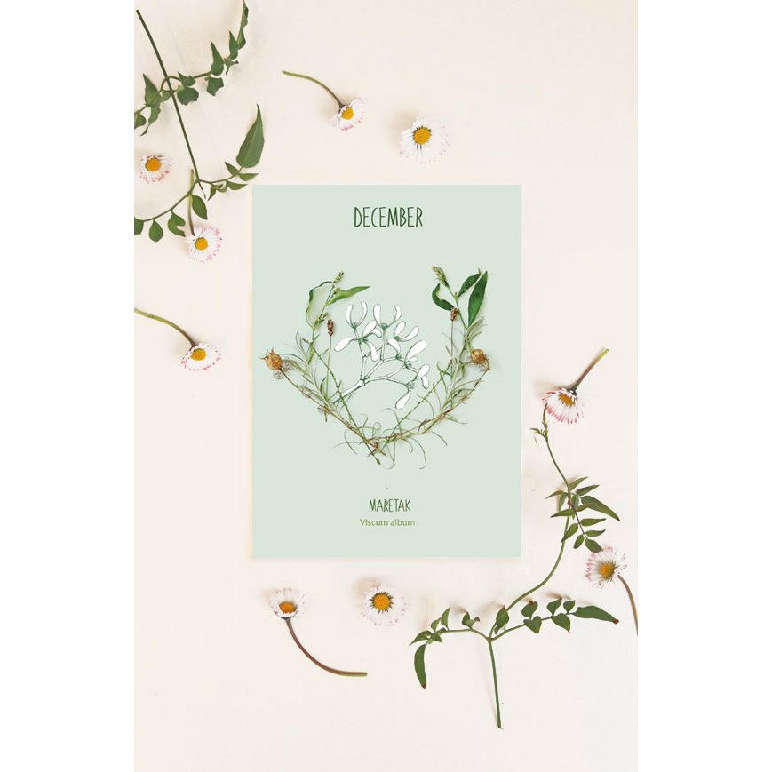 Card monthly flower December