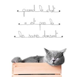 Wanddecoratie Metaal Citaat Cat