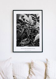 Black and white poster featuring a close-up of a skeleton in nature. The poster has a minimalist, artistic style.