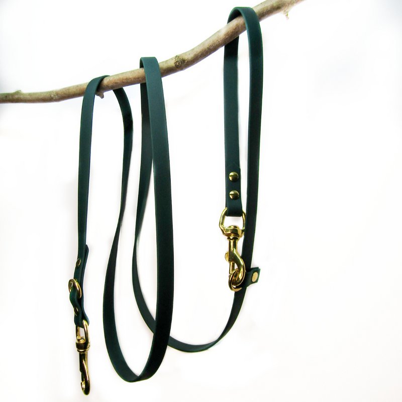 Hands-free dog leash